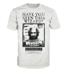 Harry Potter - Have You Seen This Wizard